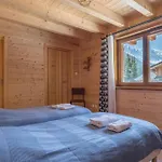 Chalet Spacieux Avec Vue Mont Blanc Sublime