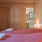 Chalet Spacieux Avec Vue Mont Blanc Sublime *